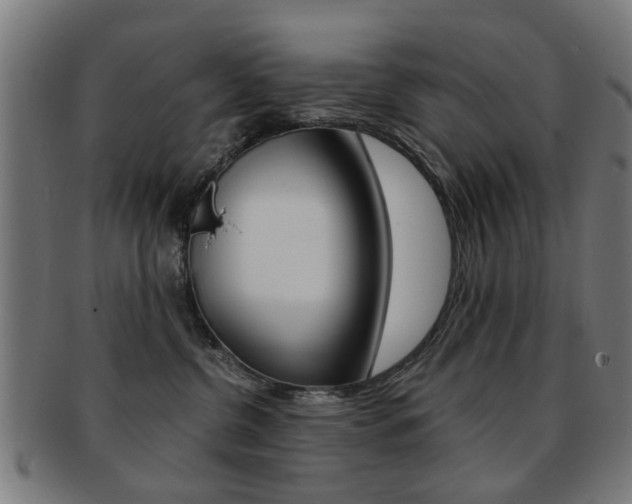X0000091900380200709051108