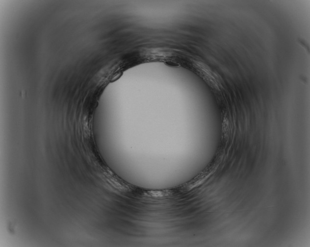 X0000091900381200709051108
