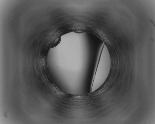 X0000091900382200709051108