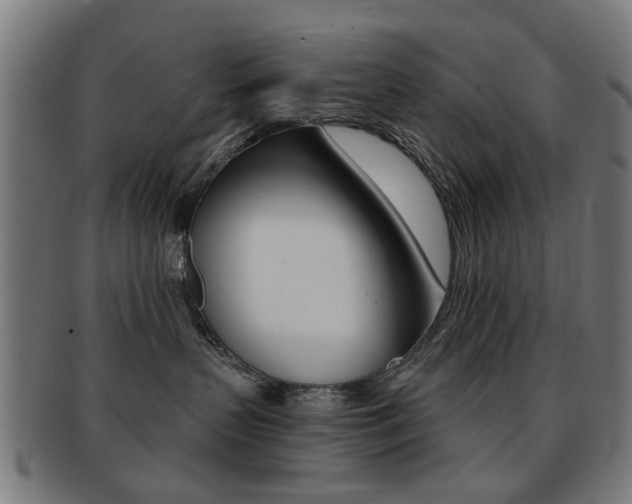 X0000091900383200709051108
