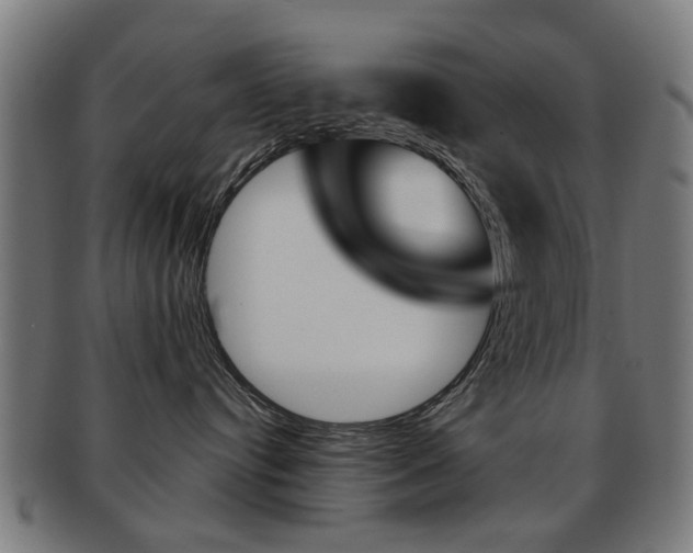 X0000091900384200709051108