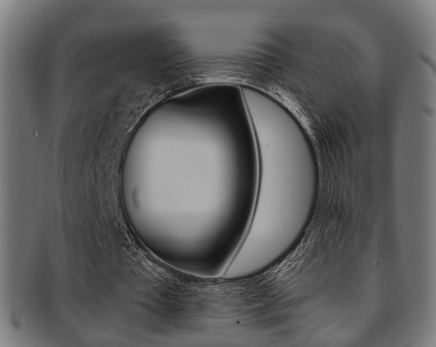 X0000091900385200709051108