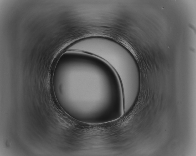 X0000091900387200709051108