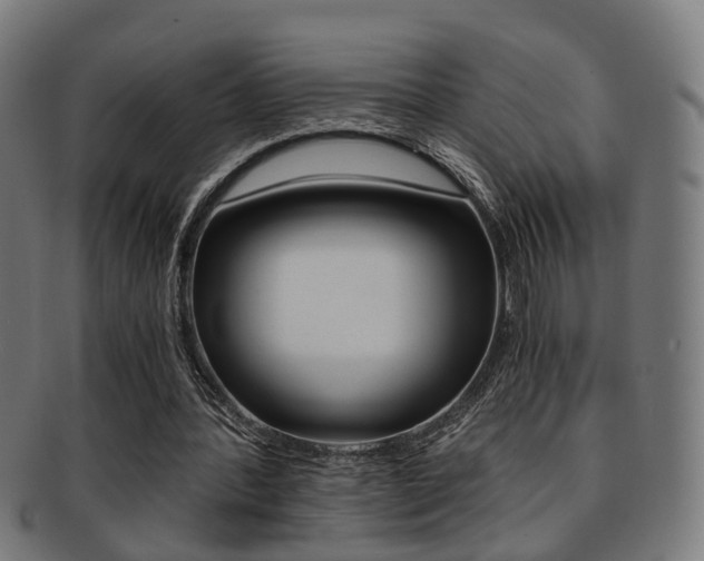 X0000091900388200709051108
