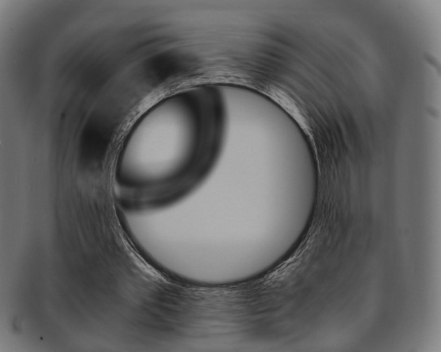 X0000091900389200709051108