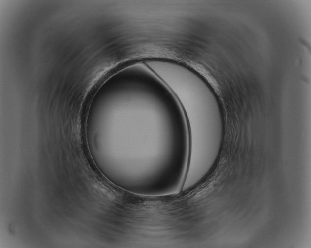 X0000091900391200709051108