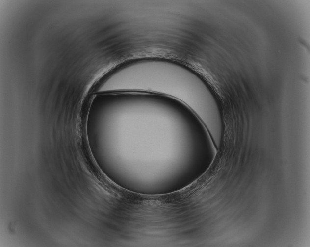 X0000091900392200709051108