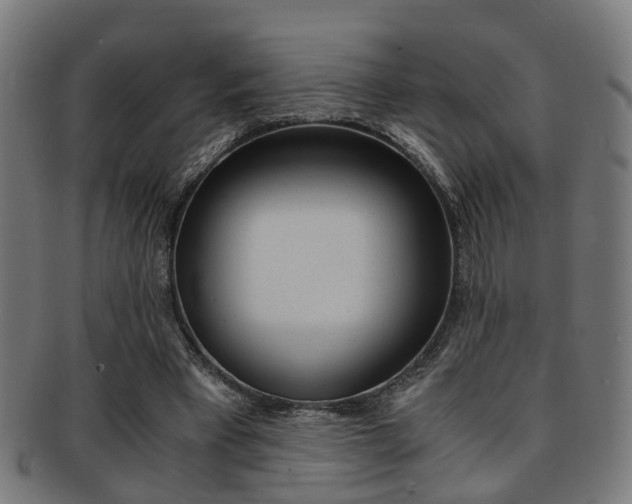 X0000091900393200709051108