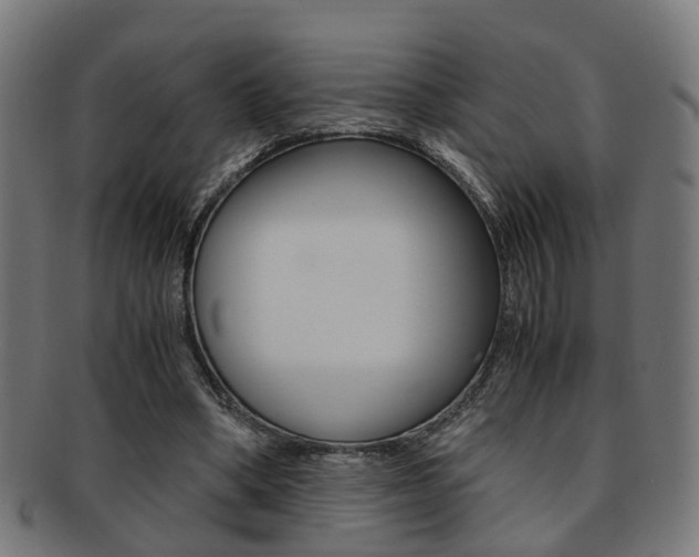 X0000091900394200709051108