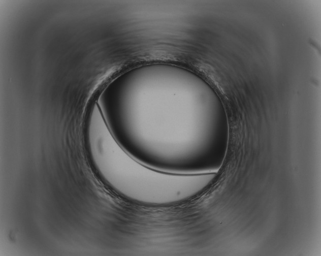X0000091900395200709051108