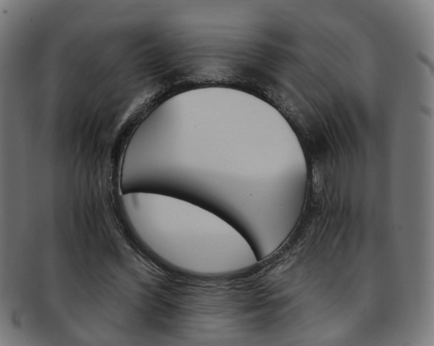 X0000091900396200709051108