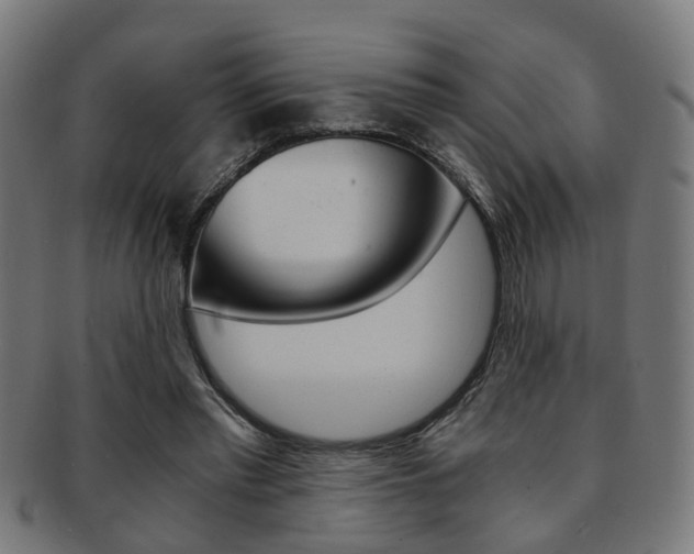 X0000091900397200709051108