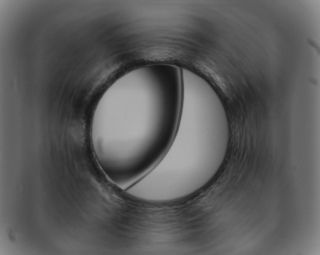 X0000091900400200709051108