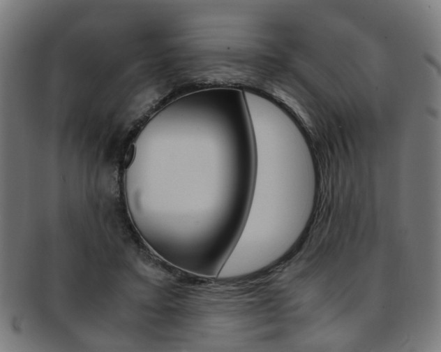 X0000091900403200709051108