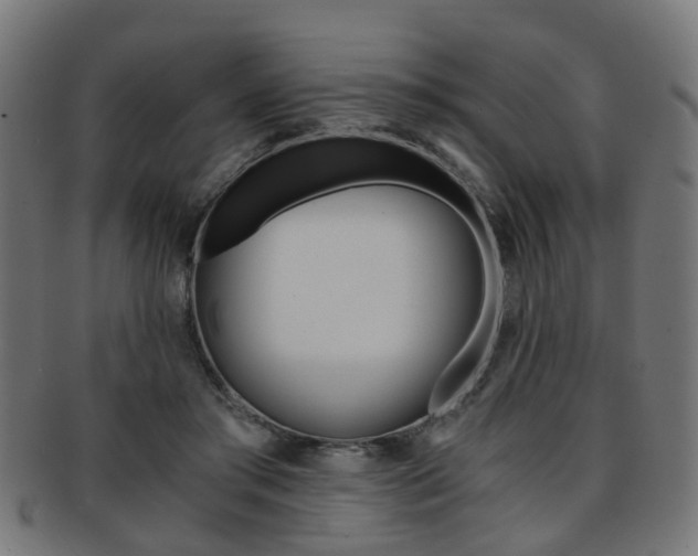 X0000091900405200709051108