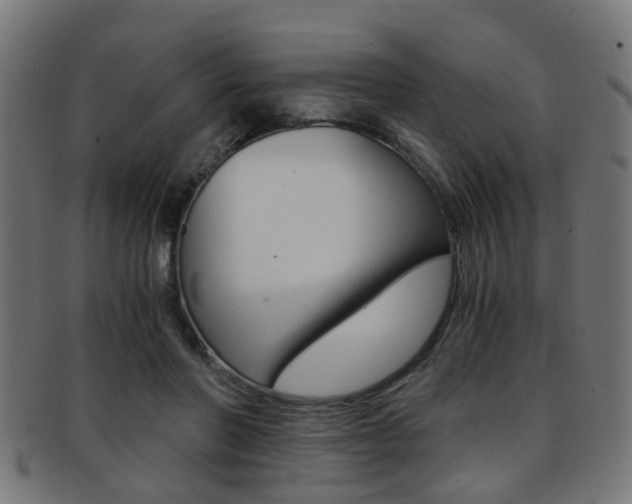 X0000091900406200709051108