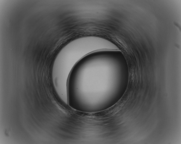 X0000091900408200709051108