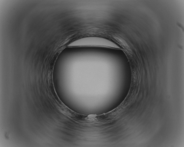 X0000091900409200709051108