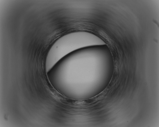 X0000091900410200709051108