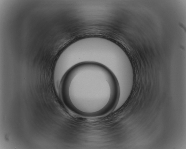 X0000091900411200709051108