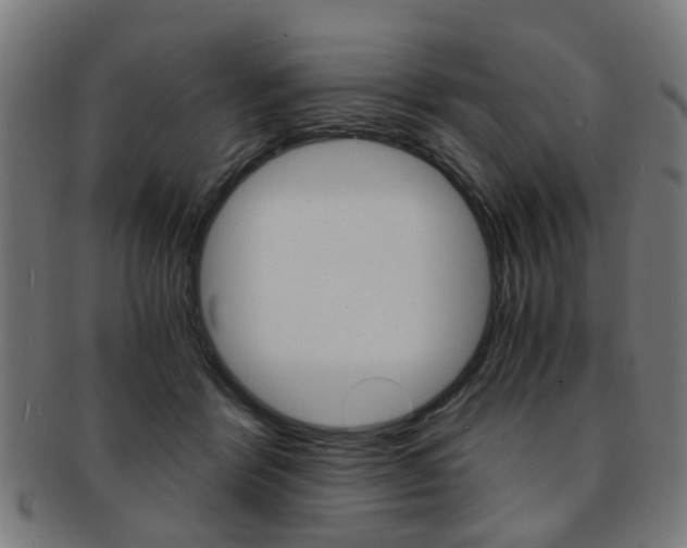 X0000091900412200709051108