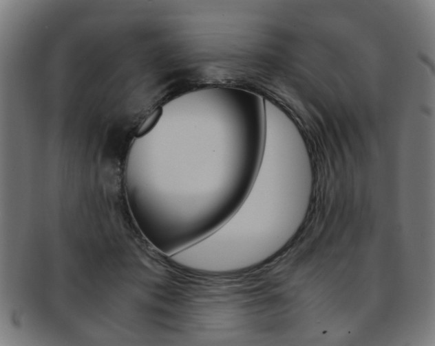 X0000091900413200709051108