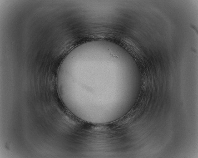 X0000091900414200709051108