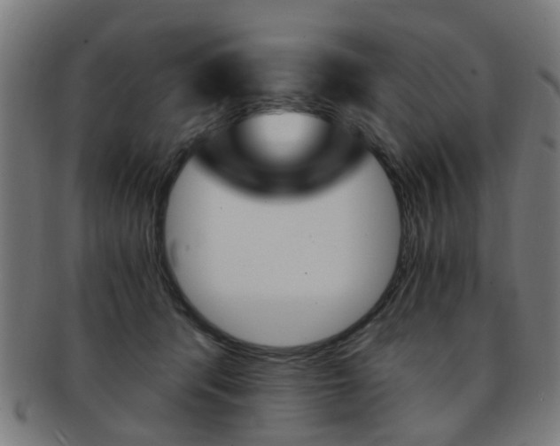 X0000091900416200709051107