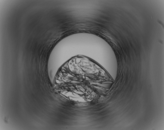 X0000091900417200709051107