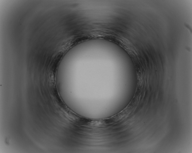 X0000091900418200709051107