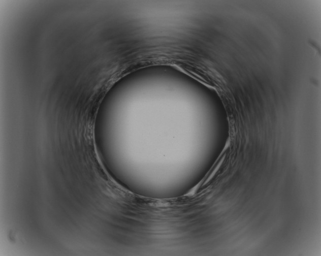 X0000091900419200709051107
