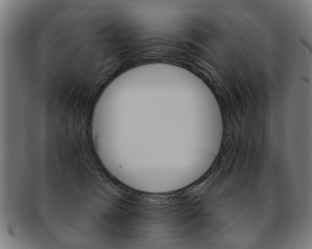 X0000091900420200709051107
