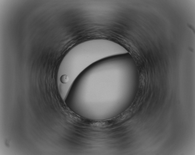 X0000091900422200709051107