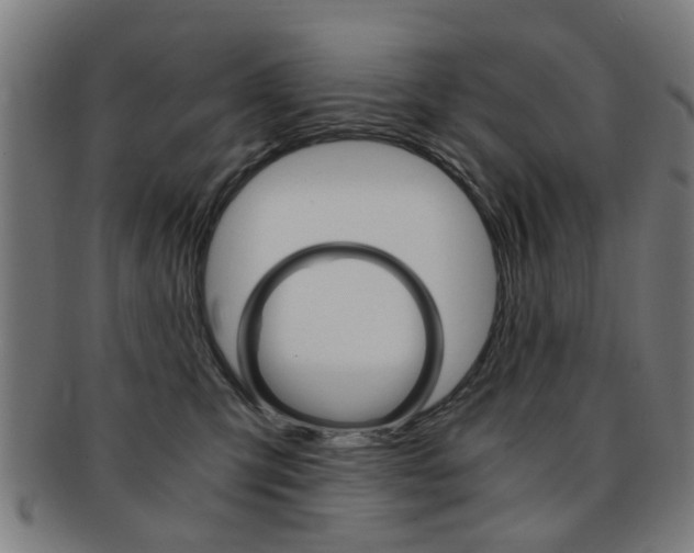 X0000091900423200709051107