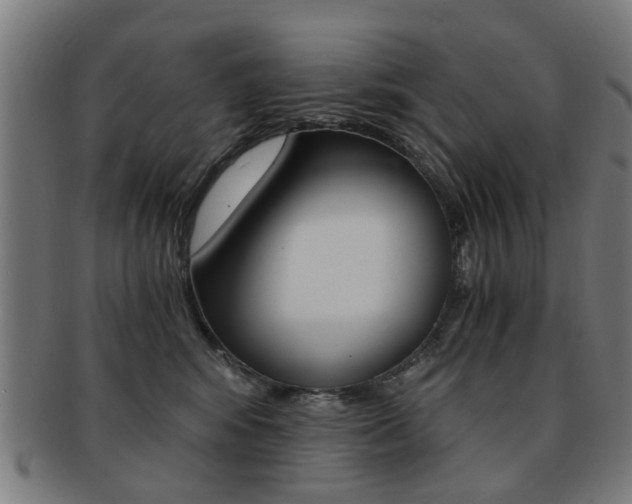 X0000091900424200709051107