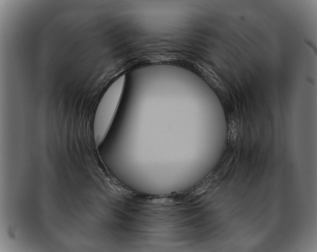 X0000091900426200709051107
