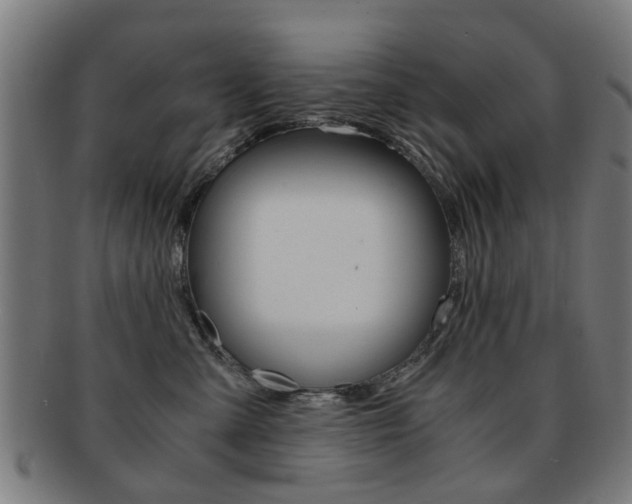X0000091900427200709051107