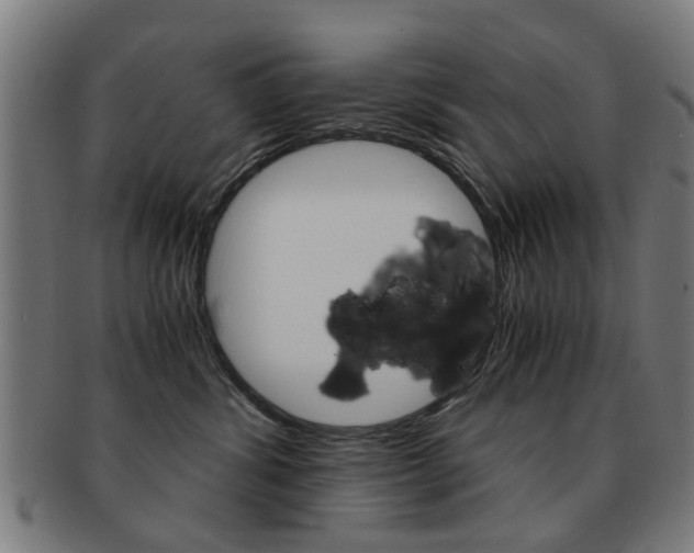 X0000091900428200709051107