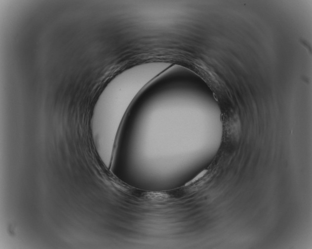 X0000091900429200709051107