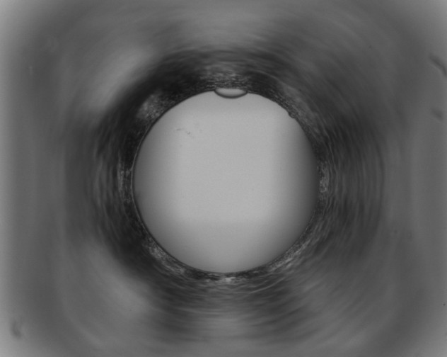 X0000091900430200709051107