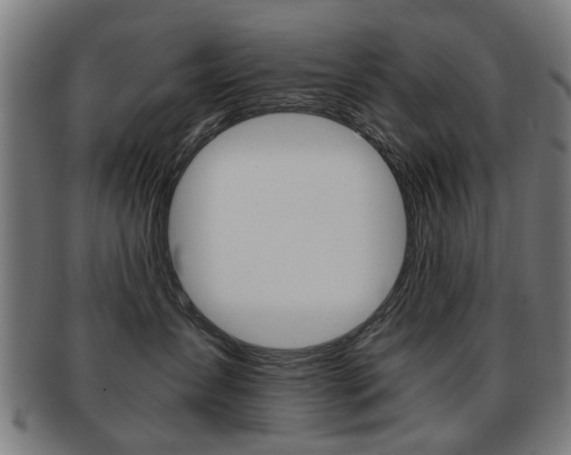 X0000091900431200709051107
