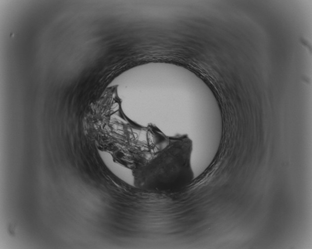 X0000091900432200709051107