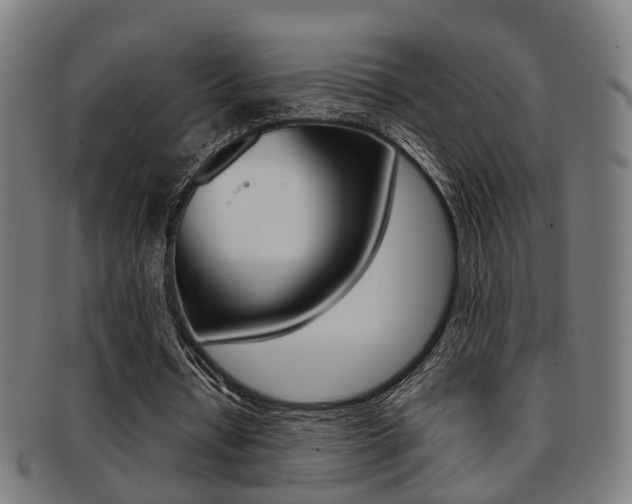 X0000091900434200709051107