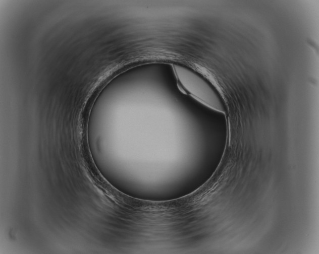 X0000091900435200709051107