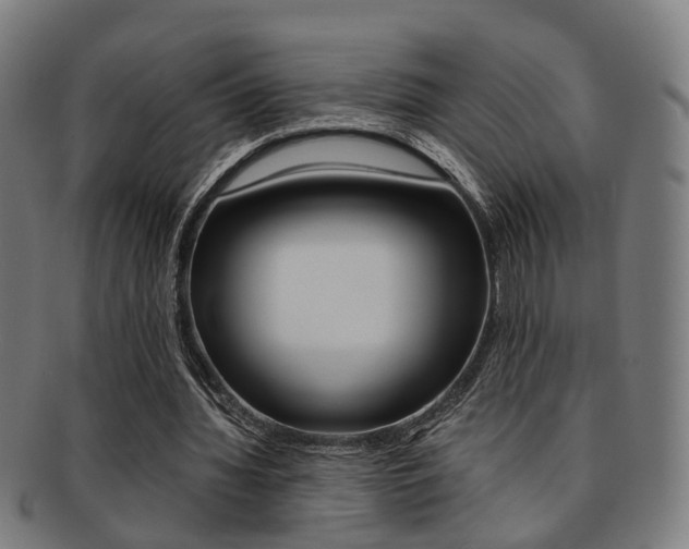 X0000091900436200709051107