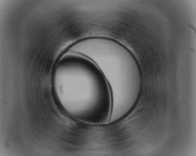 X0000091900438200709051107