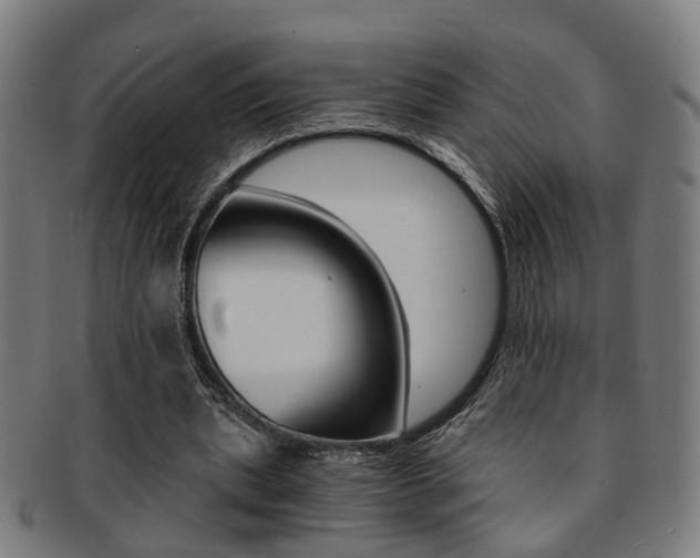 X0000091900439200709051107