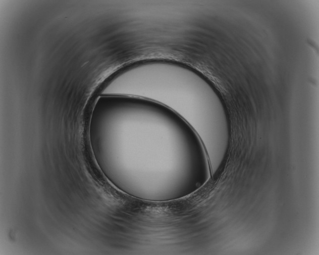 X0000091900440200709051107