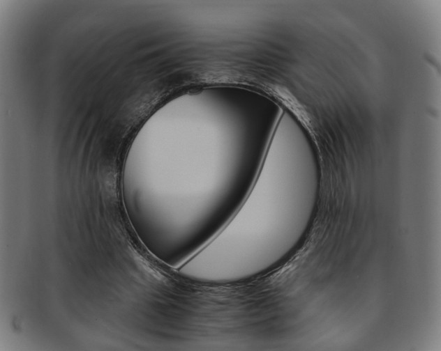 X0000091900441200709051107