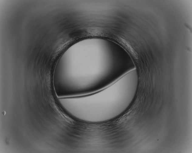 X0000091900442200709051107